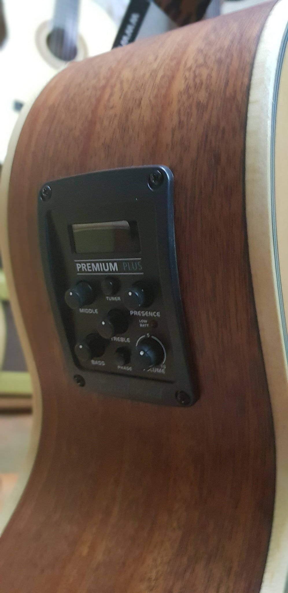 Pack electroacústica TANGLEWOOD tw9