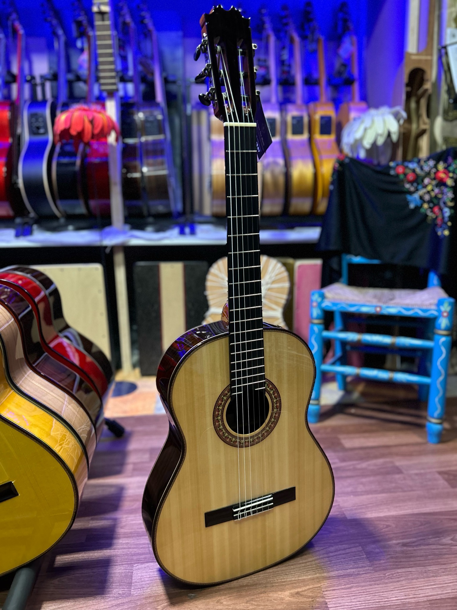 Guitarra Antonio de Toledo JR7N Palosanto