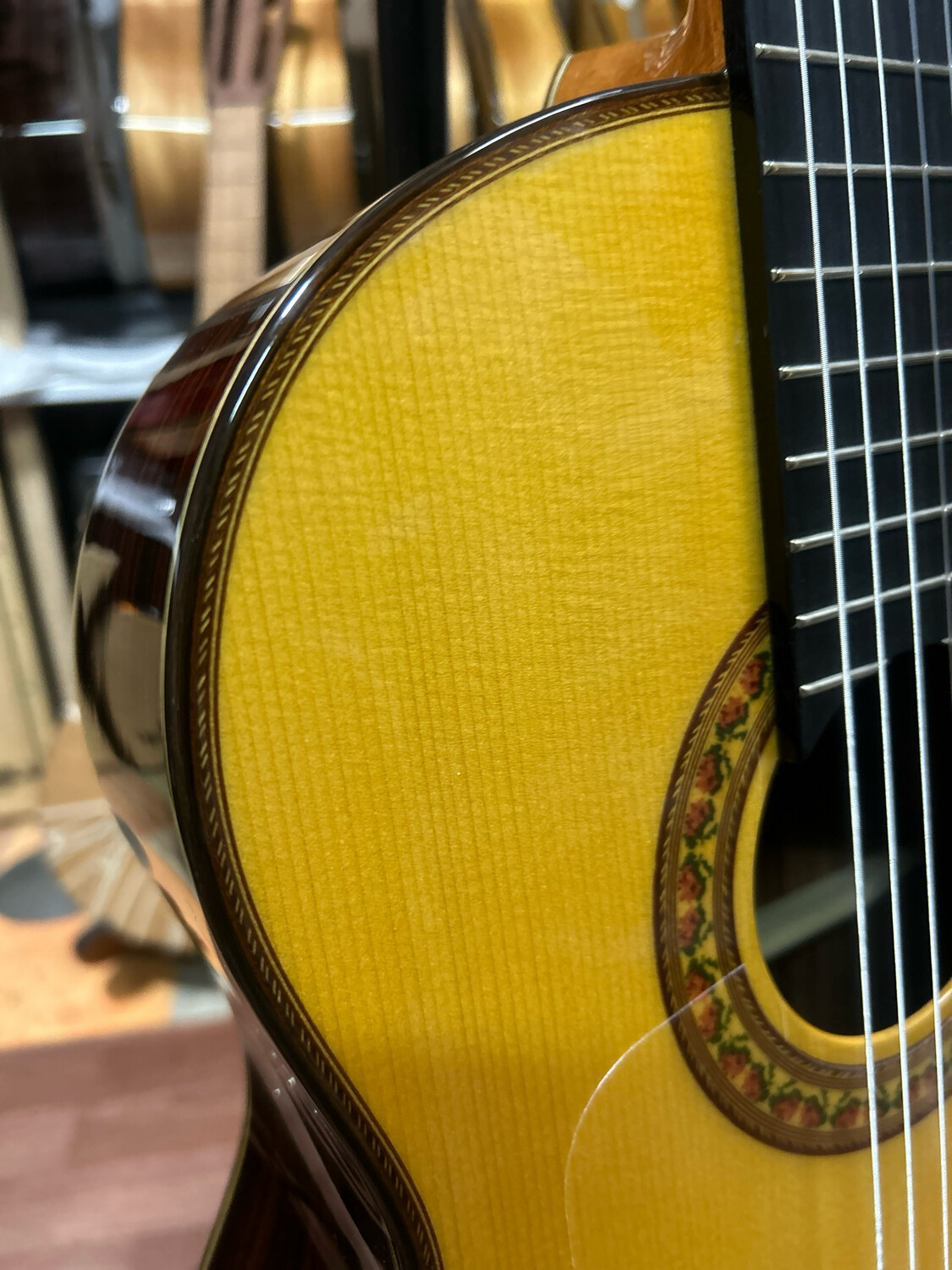 Guitarra Antonio de Toledo JR7N Palosanto