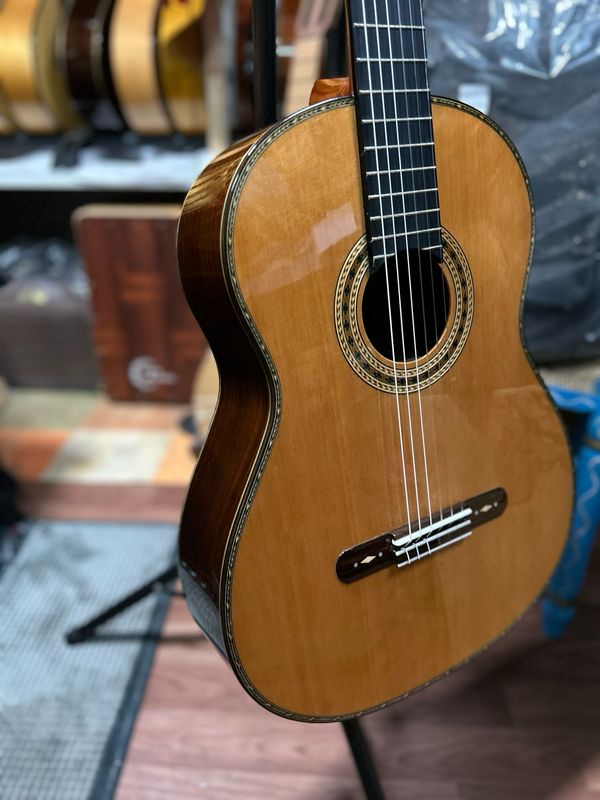 guitarra Antonio de Toledo AA15C