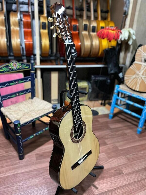 estuche y Guitarras Artesanas Antonio de Toledo F17 fishman Palosanto