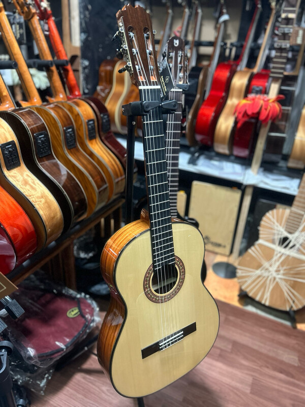 Estuche y Guitarra Antonio de Toledo F17 Santos