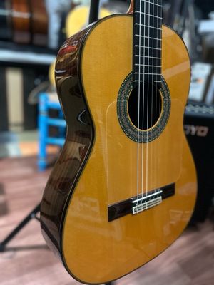 estuche y Guitarra flamenca maciza Antonio de Toledo y8 palosanto