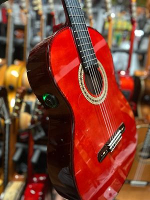 funda y guitarra Flamenca Antonio de Toledo AAF17 os1 palosanto