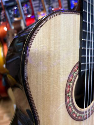estuche y Guitarra Antonio de Toledo JR7N Palosanto