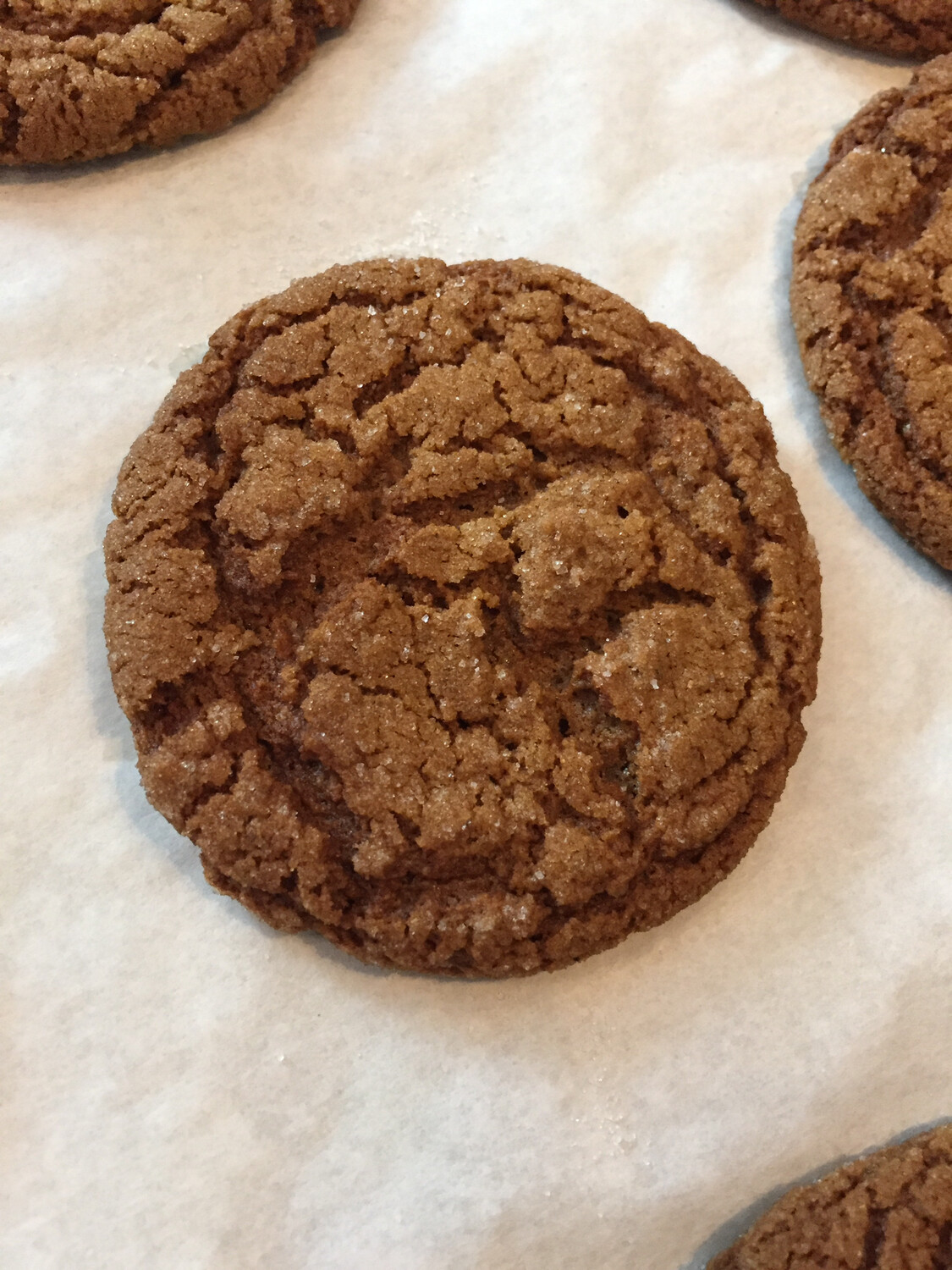 Ginger Molasses Cookies  | 1/2 dz