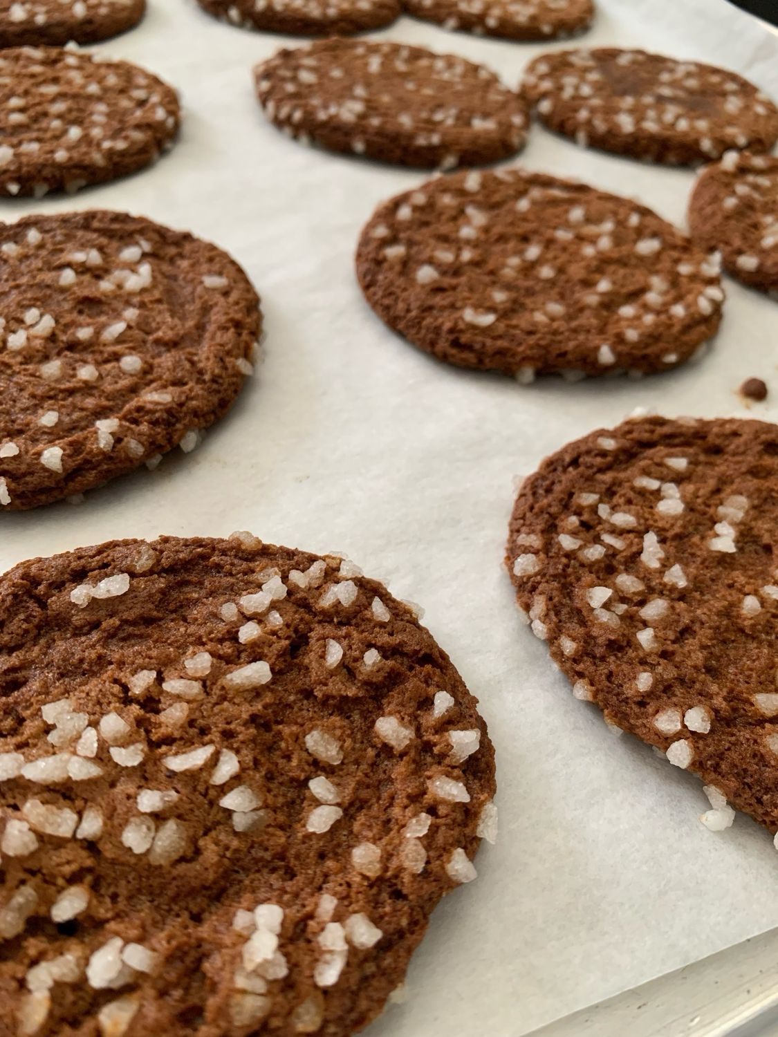 Ginger Molasses Cookie Ginger Molasses Cookie
