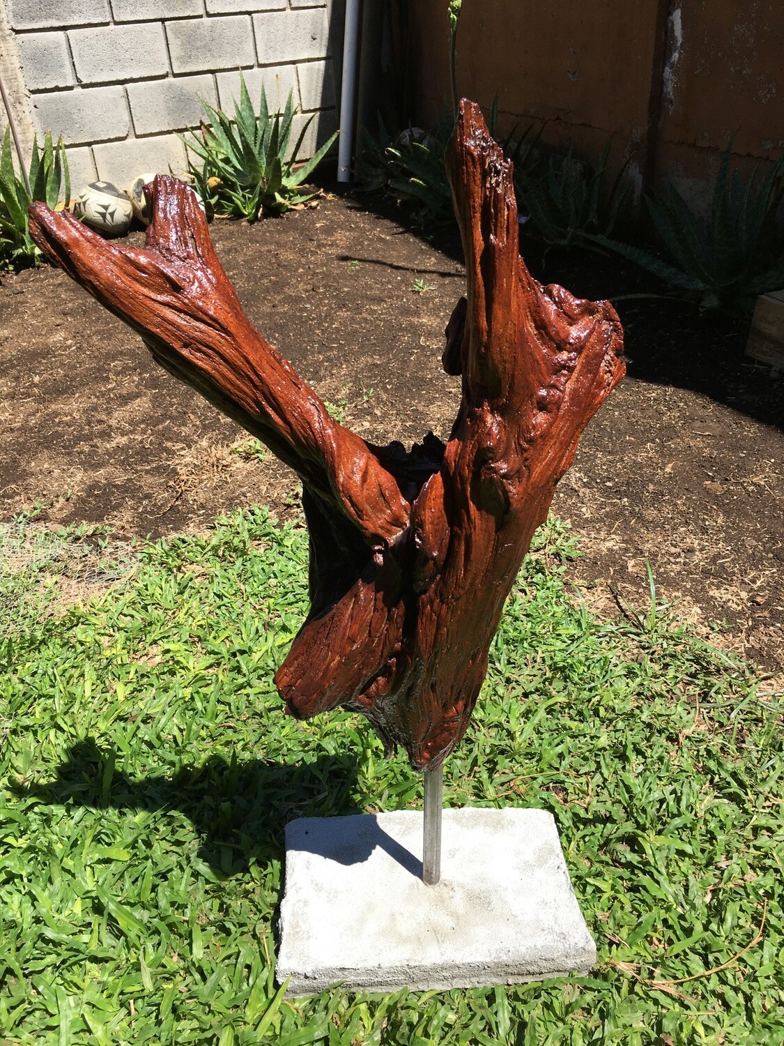 Natura 1