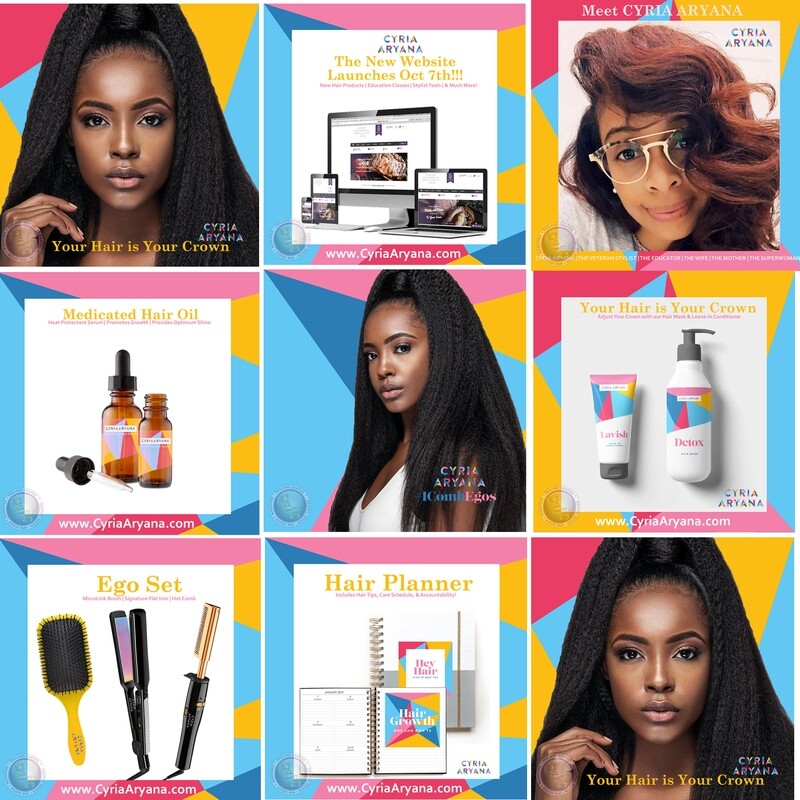 10 Pack of Branded Digital Flyers