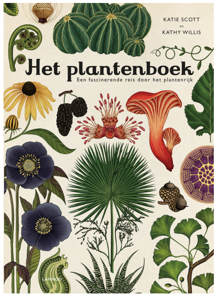 Het plantenboek - Een fascinerende reis door het plantenrijk