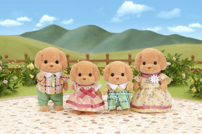 Toy Poodle Family