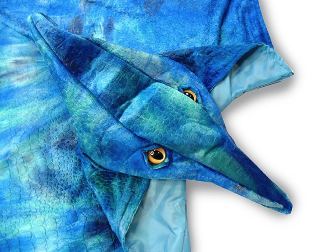 Cape  Pterodactyl   - 4/5 jaar