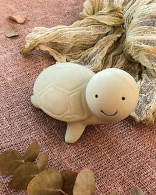 Tikiri bijt en badspeelgoed schildpad