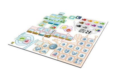 Concept Kids Dieren