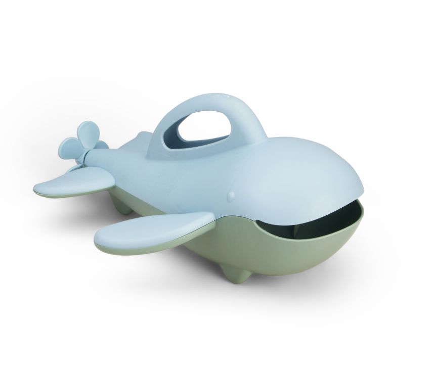 Walvis