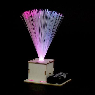 STEM - Wooden Fibre Optic Light