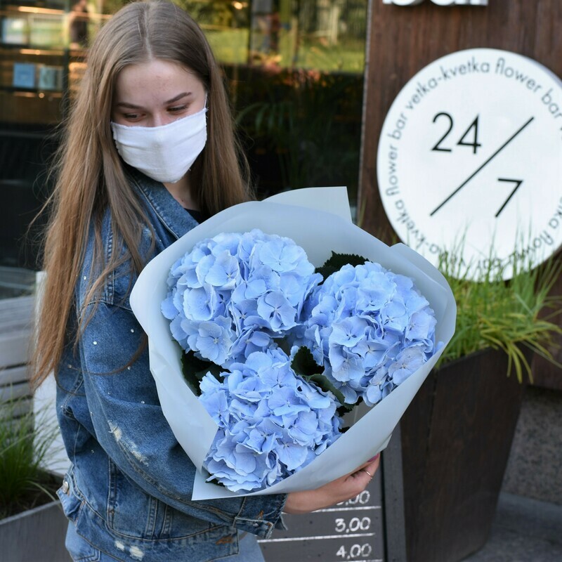 Монобукет с гортензией