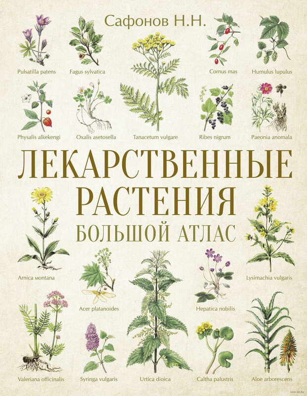 «Лекарственные растения. Большой атлас.» Сафонов Н.Н.