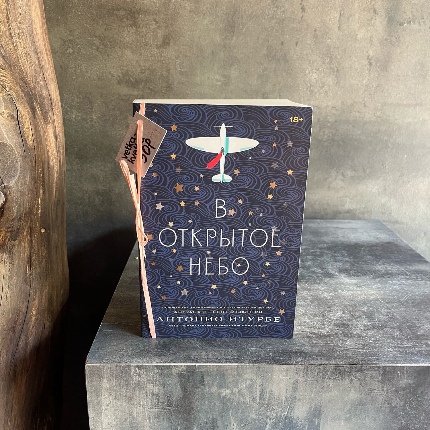 Книга «В открытое небо»