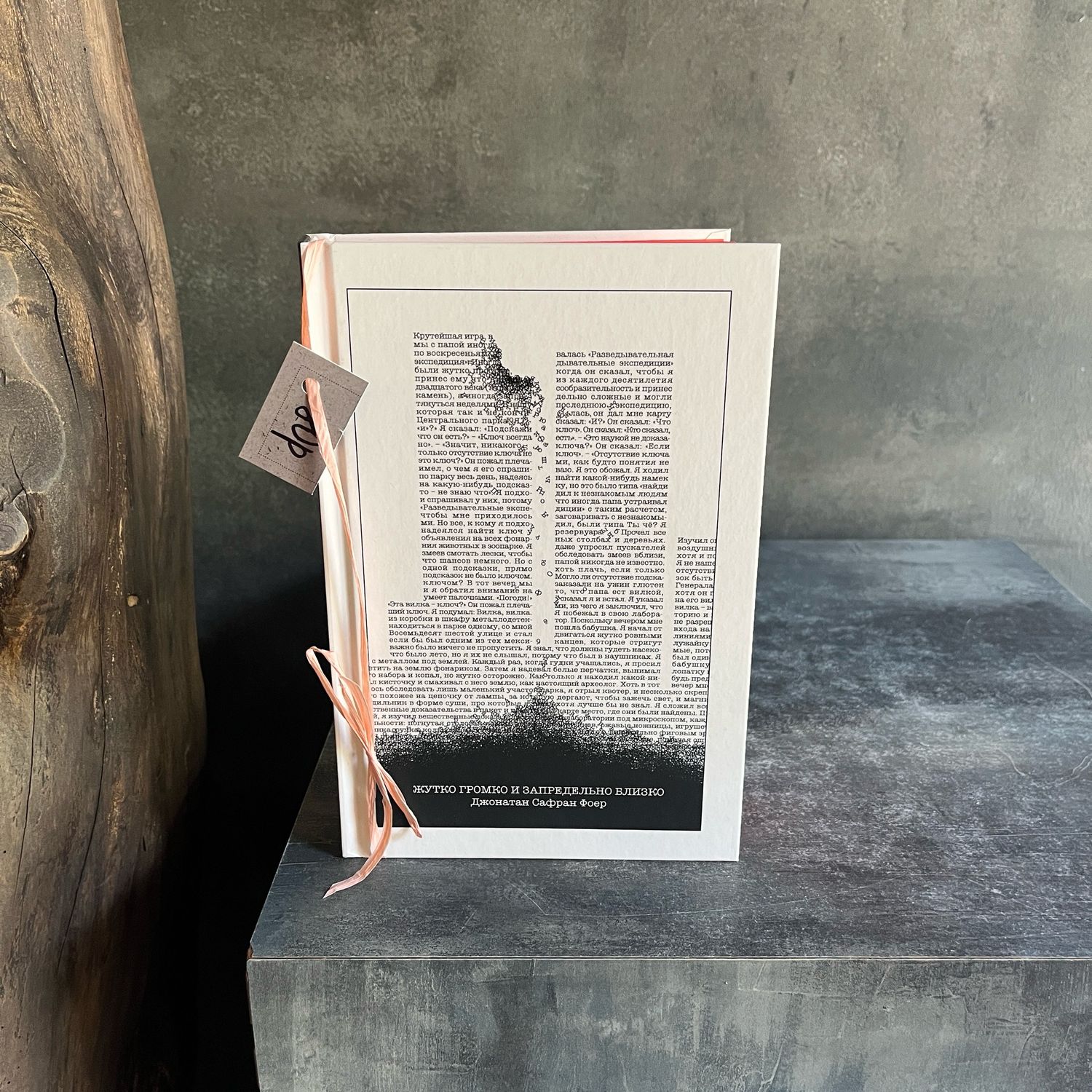 Книга «Жутко громко и запредельно близко»