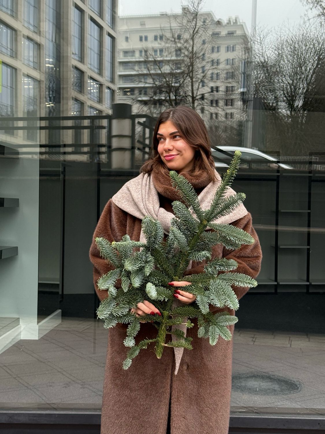 Хвоя Нобилис