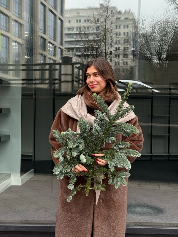 Хвоя Нобилис