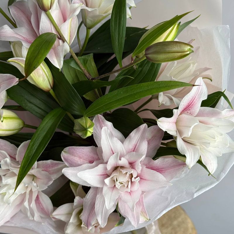 Lily Compliment Bouquet