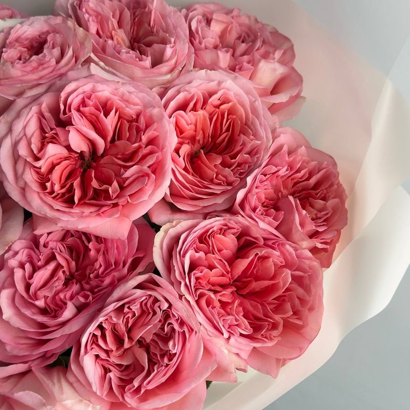 Garden Rose Monobouquet (pink)