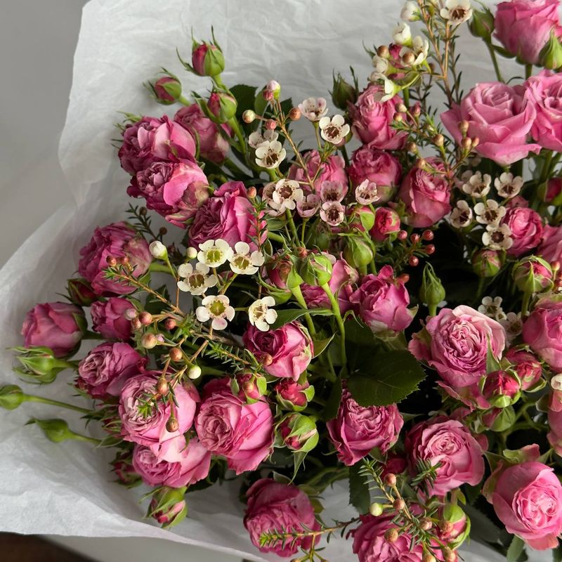 Spray Rose and Chamelaucium Bouquet