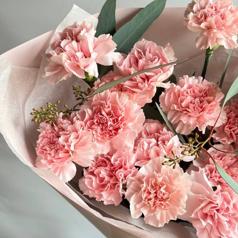 Carnation Monobouquet