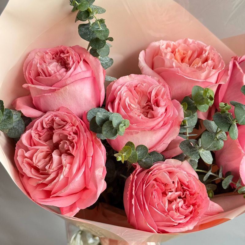 Garden Rose Monobouquet (coral)
