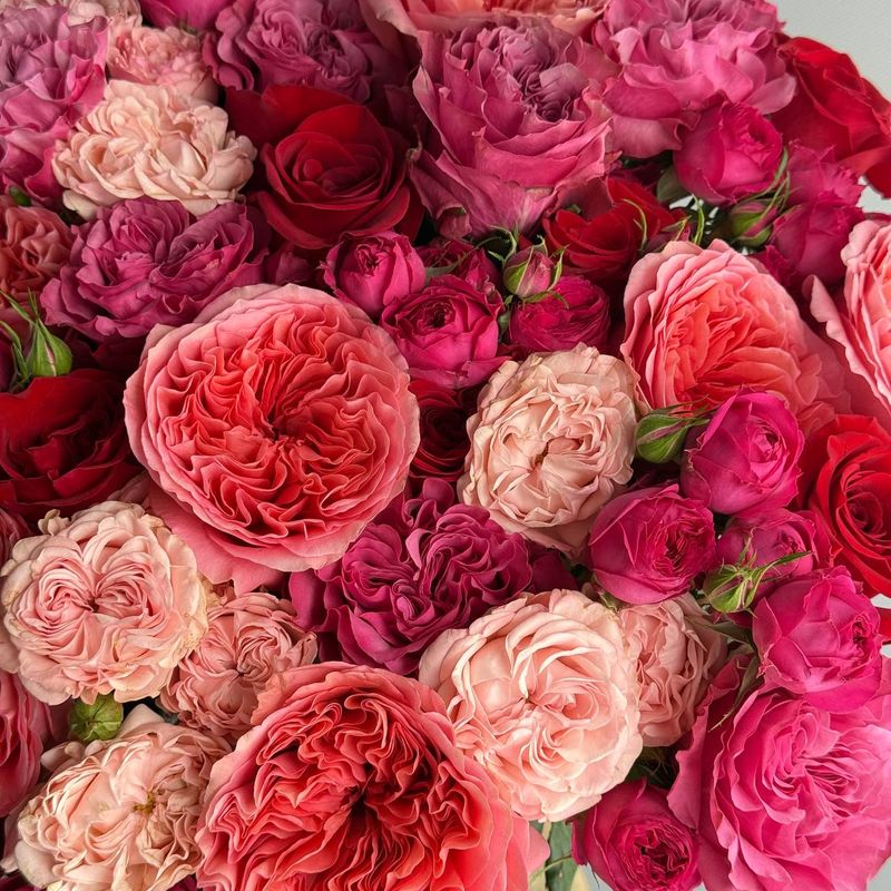 XXL Mixed Rose Bouquet (bright pink)