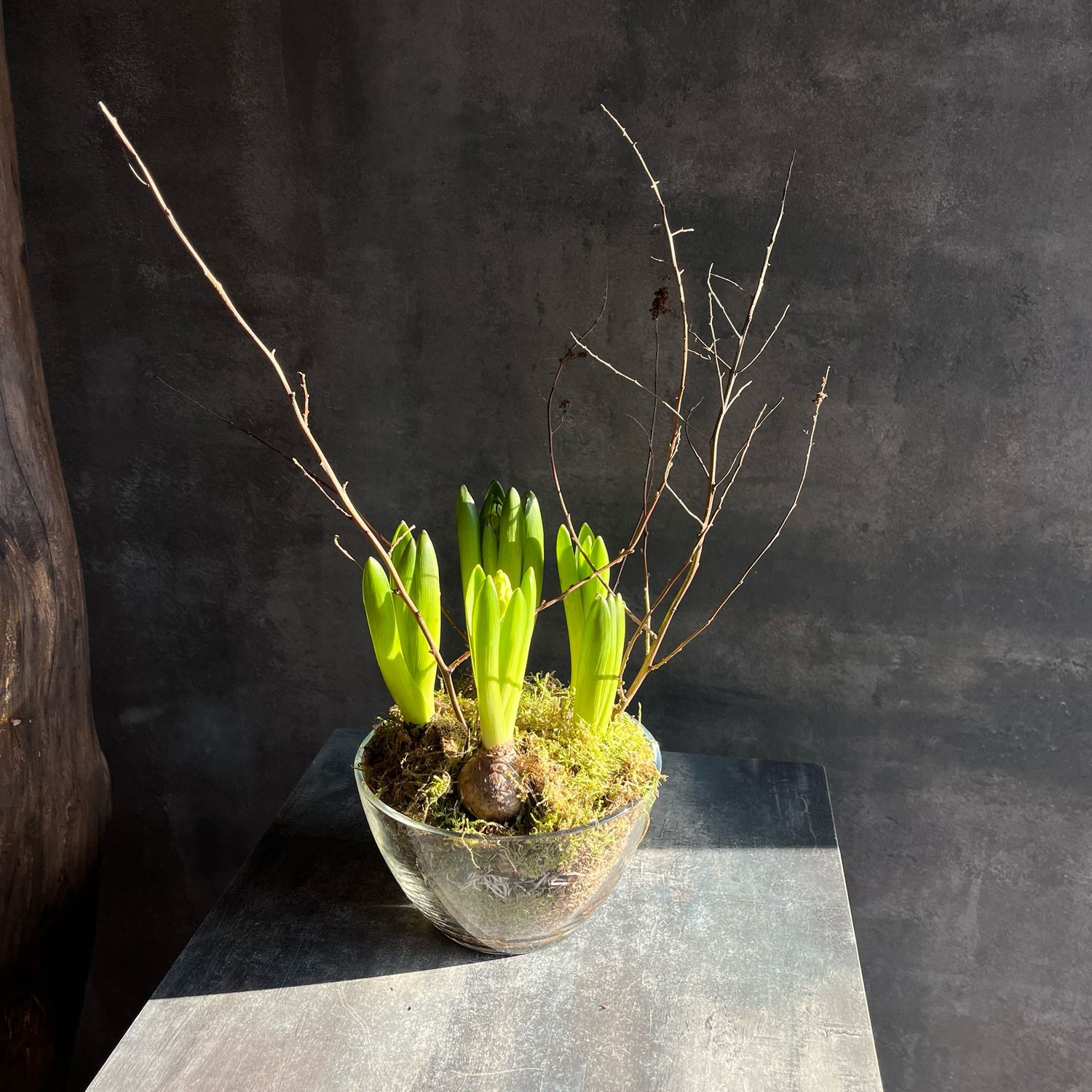 Аранжировка с гиацинтами 