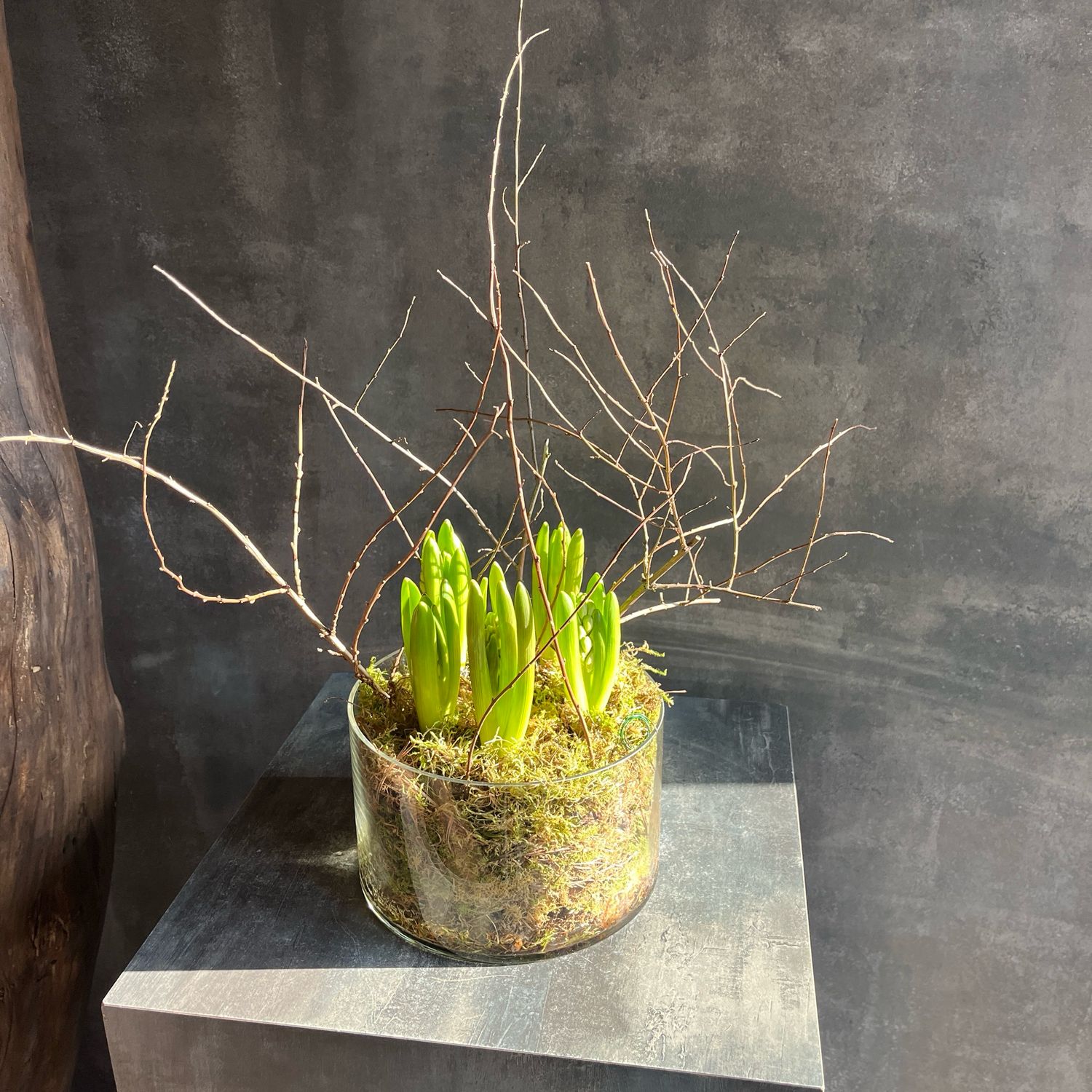 Аранжировка с гиацинтами 