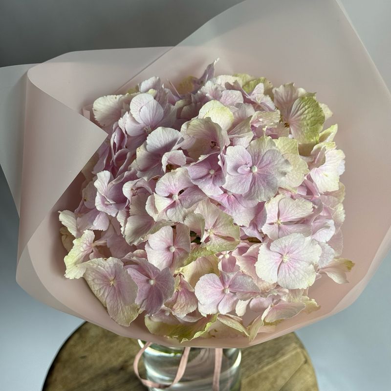Compliment Bouquet with Hydrangea (soft pink)