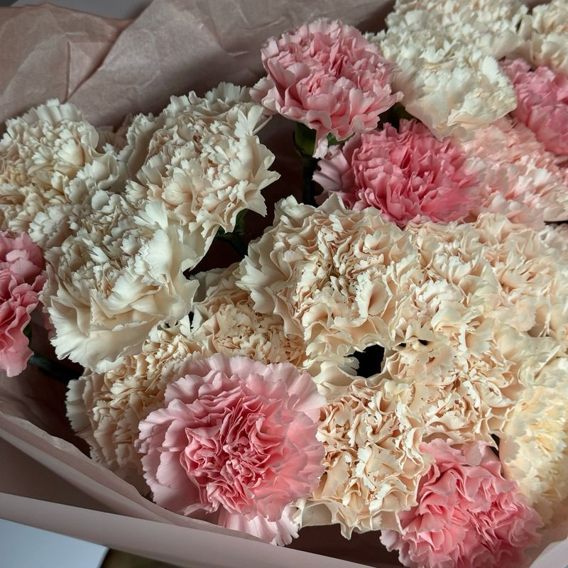 Mixed Carnation Bouquet