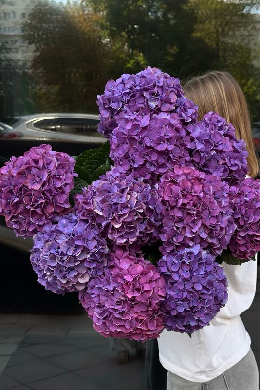 XXL Hydrangea Bouquet (purple)