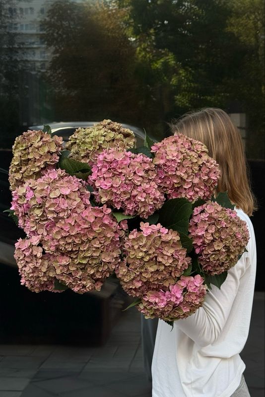 XXL Hydrangea Bouquet (pink-beige)