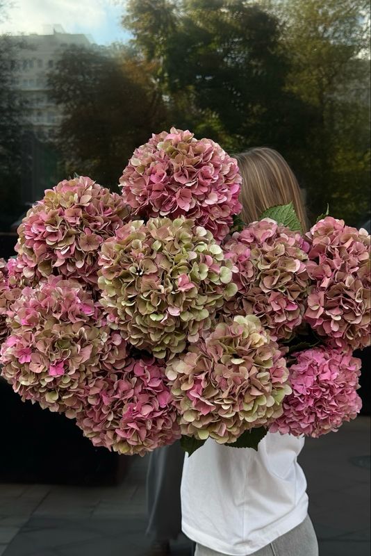 XXL Hydrangea Bouquet (dusty pink)