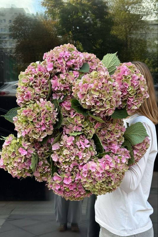 XXL Hydrangea Bouquet (pink-green)