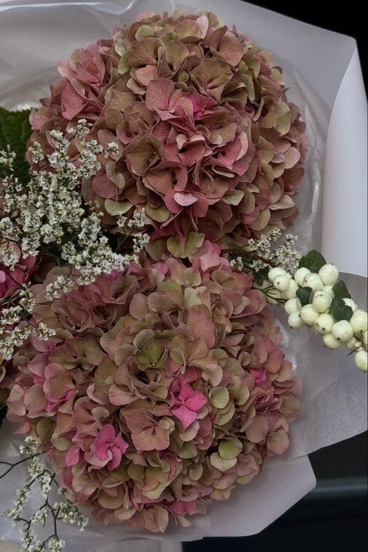 Hydrangea Bouquet (dusty pink)