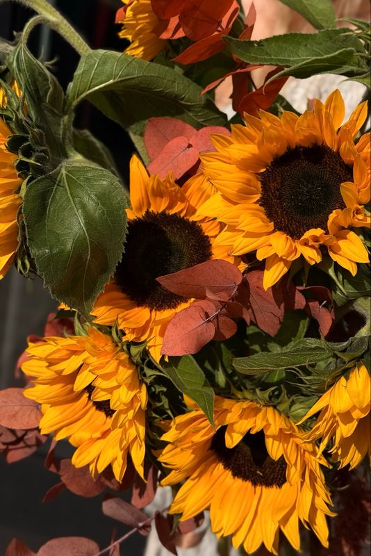 Sunflower and Amaranth Bouquet (orange-burgundy)