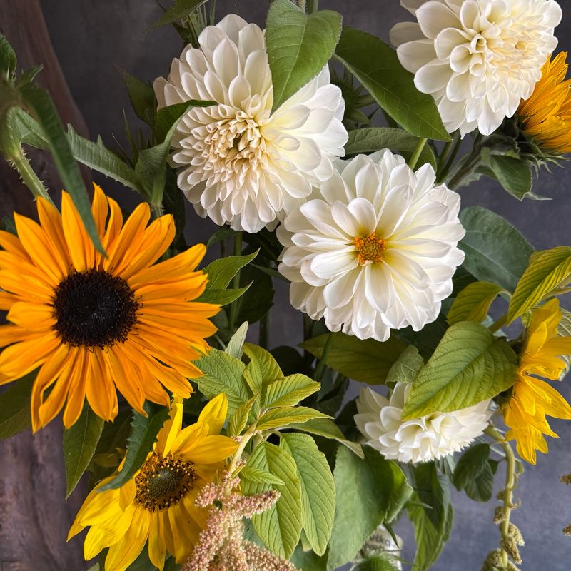 Dahlia, Amaranth and Sunflower Bouquet