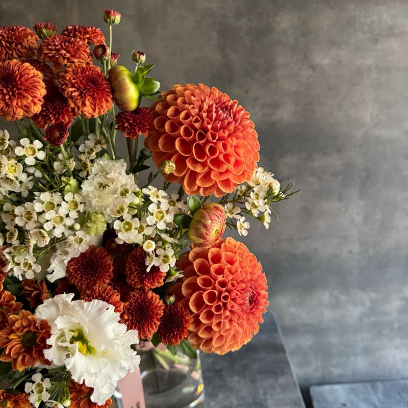 Dahlia and Chamelaucium Bouquet