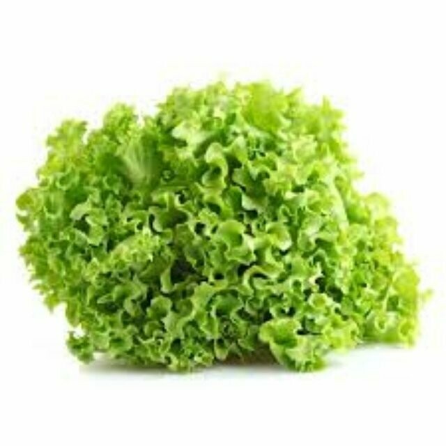 Alface crespa verde (maço)