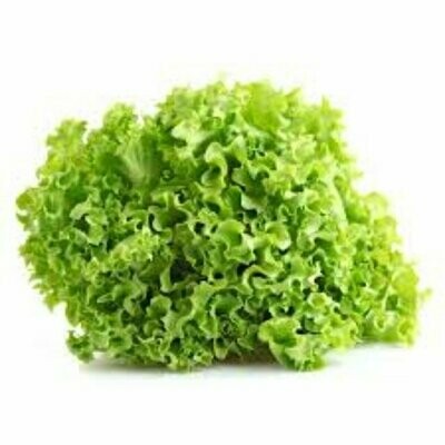 Alface crespa verde (maço)