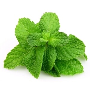 Hortelã miúdo (maço)
