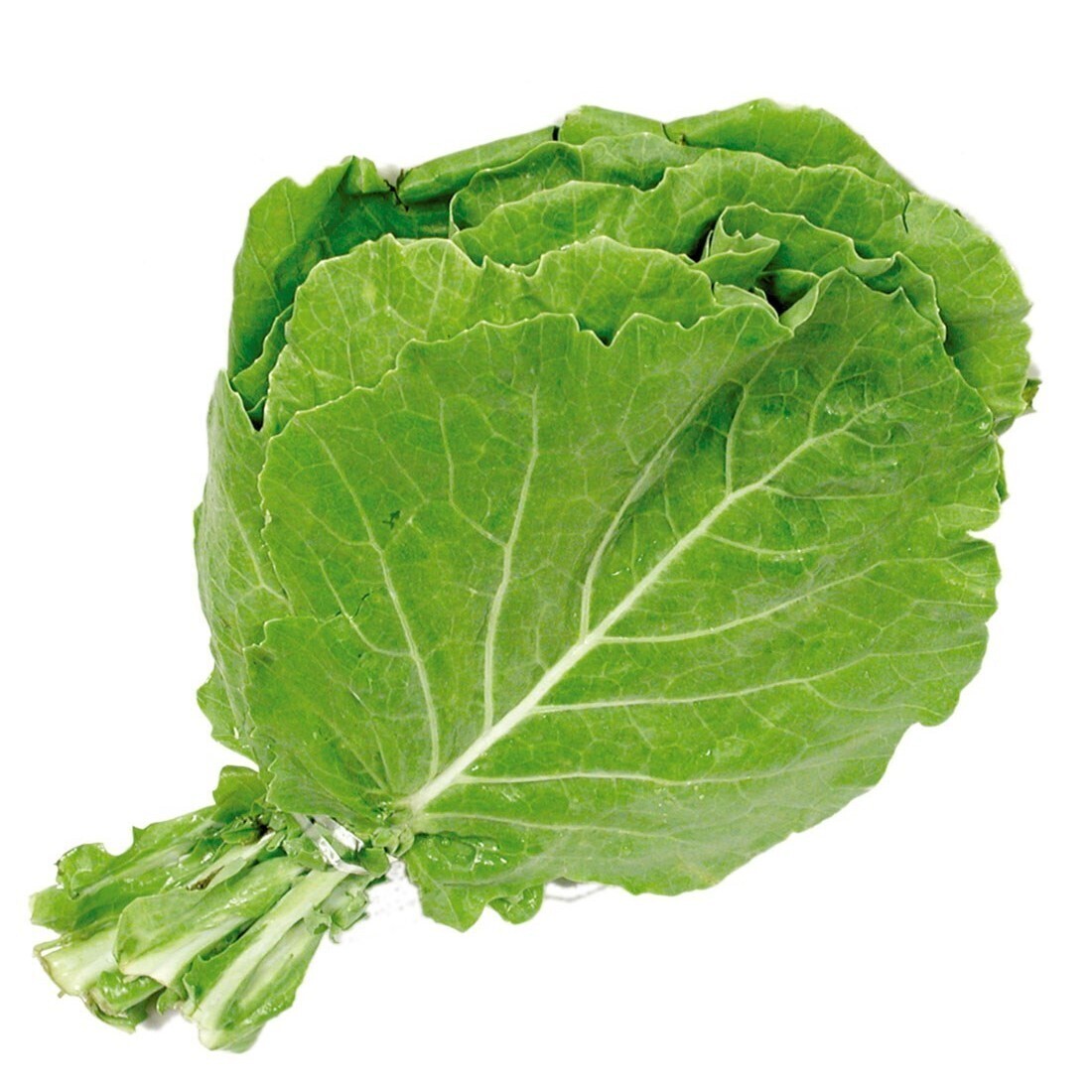 Couve folha (maço)