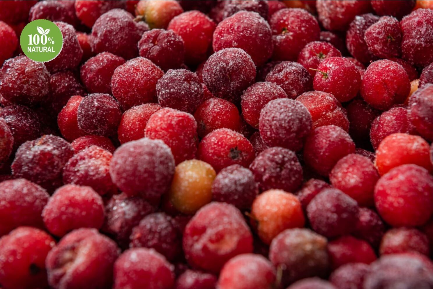 Acerola congelada (600g)