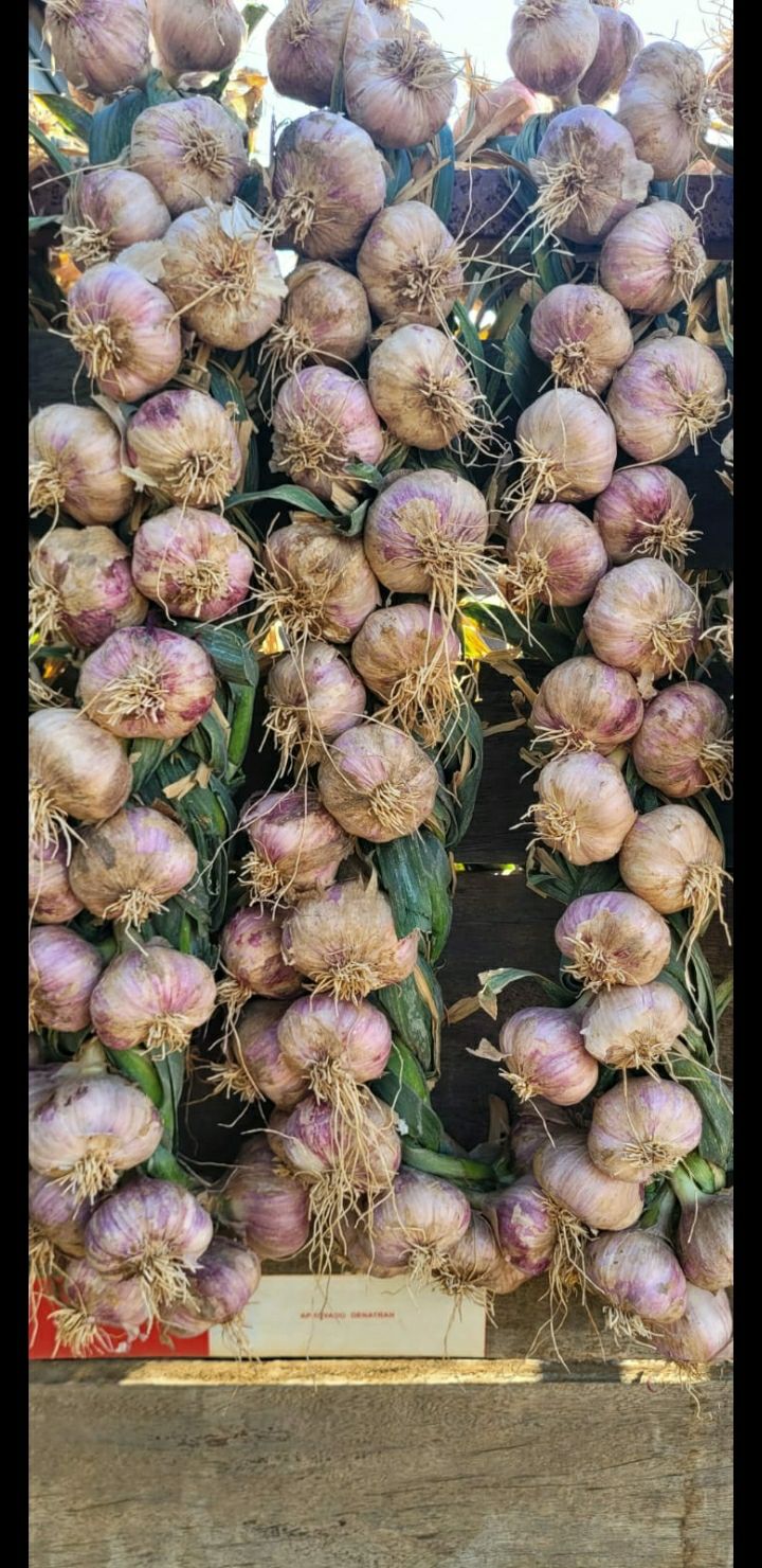 Alho Roxo (100g)